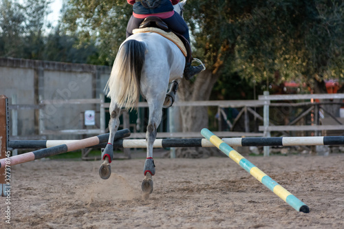Back side of Girl riding a white horse jumping a guided obstacle during equestrian school training