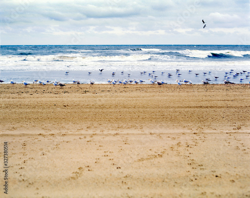  Strand an der Nordsee in den Niederlanden