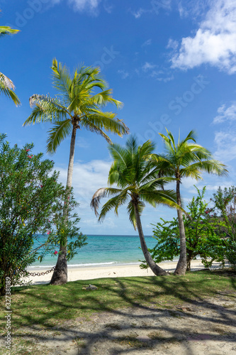 Wreck tropical sandy beach (Playa Larga) with palm trees on Contadora island. © photoopus