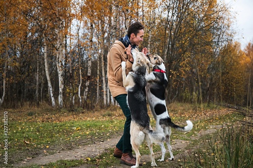 Cheerful guy communicating with dog in nature © Alexandr