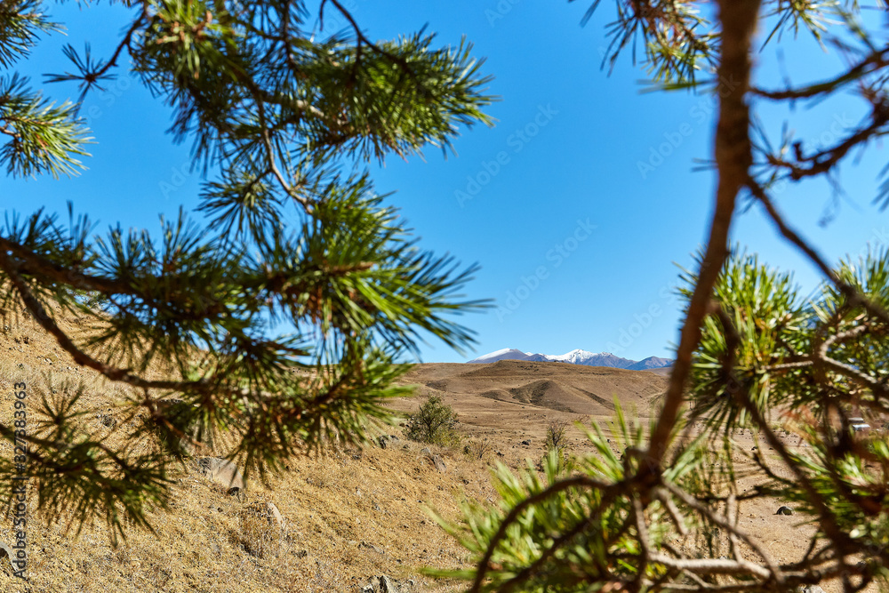 rugged terrain and sunny day with tree rugged terrain and sunny day with tree