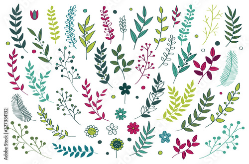 Hand drawn vector floral elements. Branches and leaves colors. Herbs and plants collection. Vintage botanical illustrations.