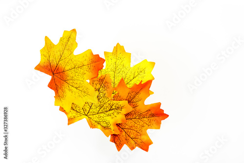 plastic artificial  maple leaf made from fabric isolated on white background