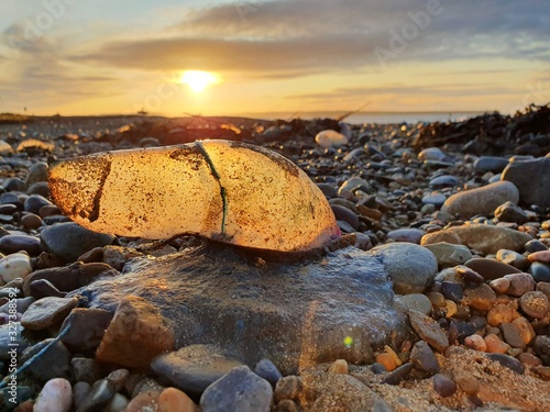 lit up jellyfish in sunrise tramore ireland