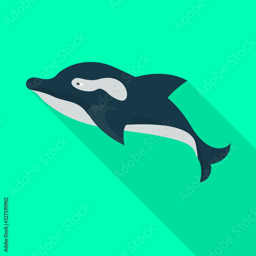 Whale orca vector icon.Flat vector icon isolated on white background whale orca.
