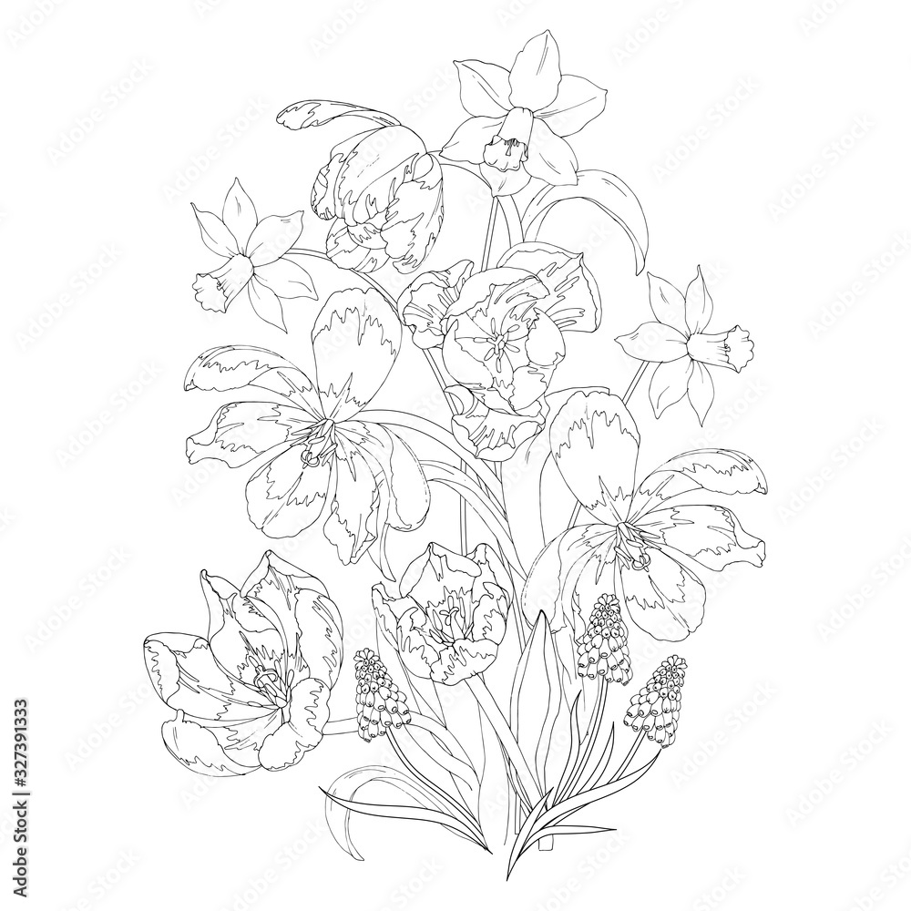 Blooming spring flowers, tulips, daffodils and Muscari, coloring page, black and white vector illustration