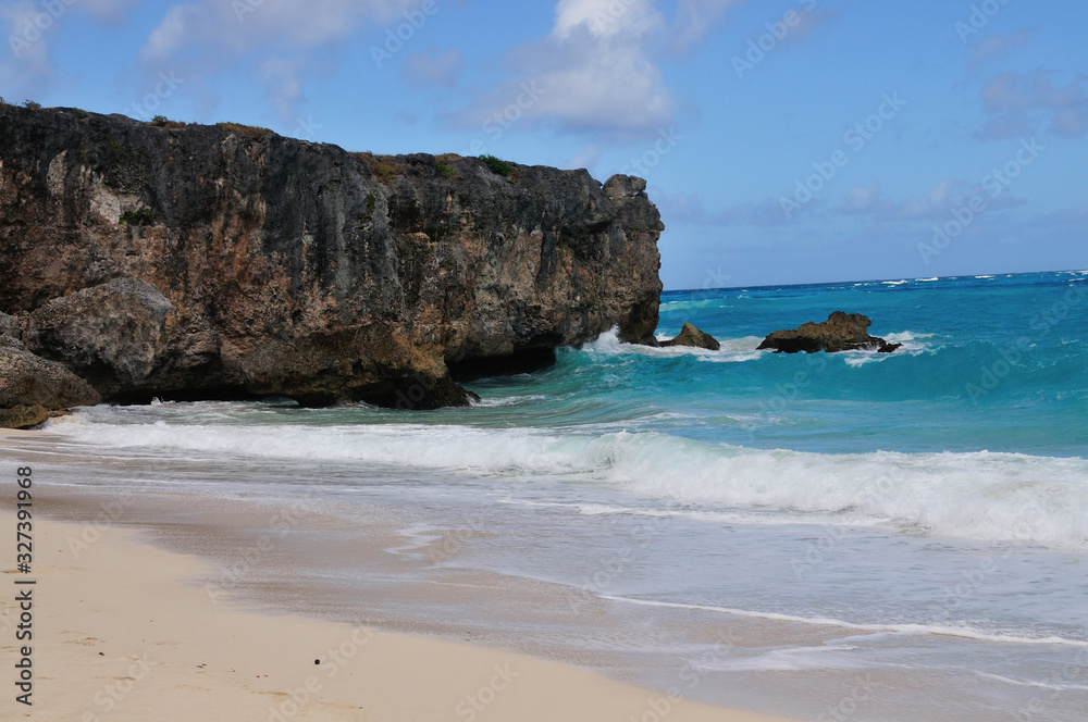 View of Beach in Barbados