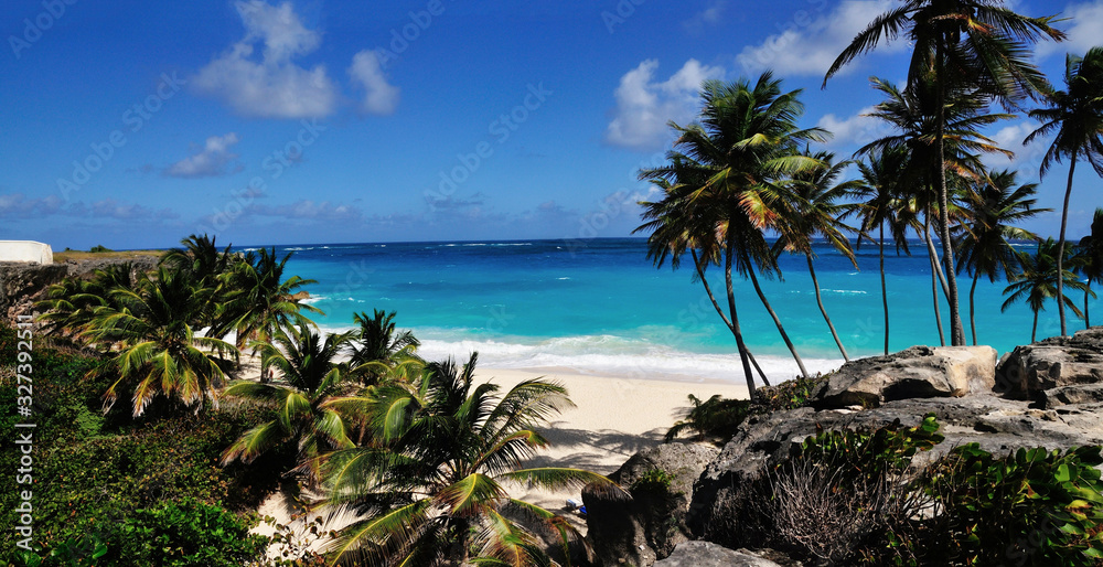 Beach and Palm Trees