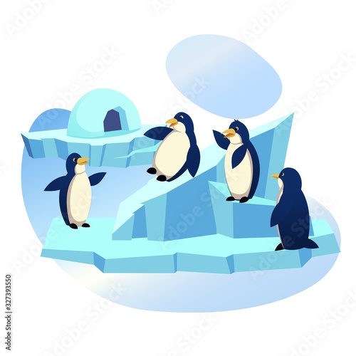 Animal Park, Zoo, Group of Funny Penguins Playing on Ice Floe with Icehouse, Skating from Snowy Slide, Waterfowl Aquatic Flightless Birds Wildlife, Lifestyle, Nature. Cartoon Flat Vector Illustration