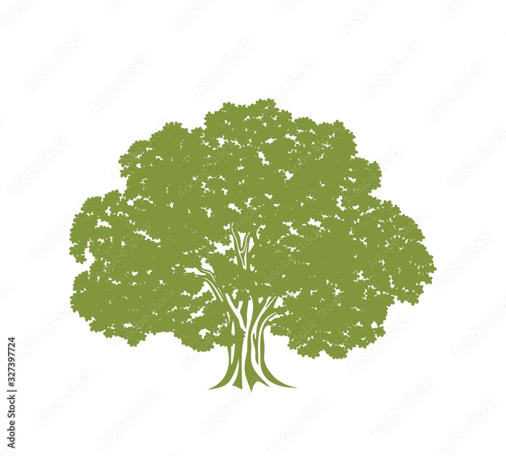 Obraz premium Oak tree logo. Isolated oak tree on white background