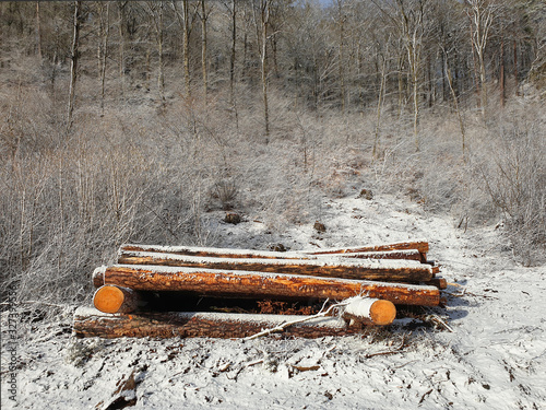 Trunks of deforested trees stacked on top of each other in front of the forest and covered with snow stand out in color in the winter landscape.
