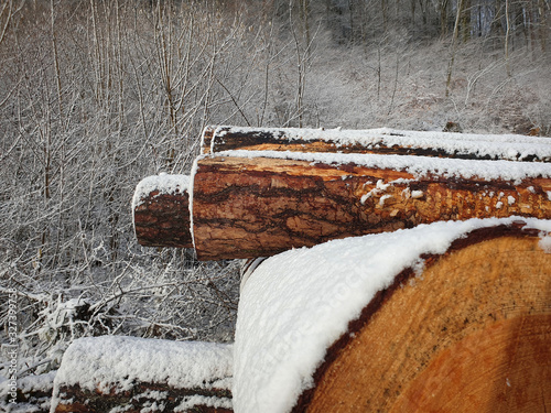 Partial view as a close-up view of deforested logs stacked on top of each other in front of the forest and covered with snow stands out in color in the winter landscape.