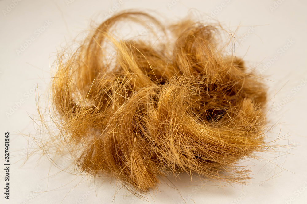 Fototapeta premium Close-up of cropped hair on a light background