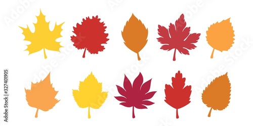 autumn leaves set, isolated on white background. Colorful autumn leaf. vector illustration.