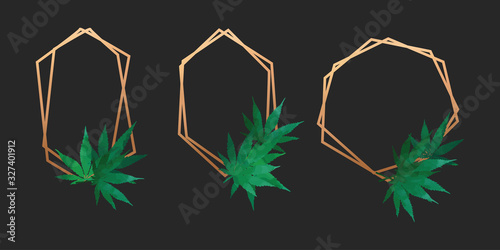 Geometric thin universal frames with cannabis leaves, individual polished metallic elements kit