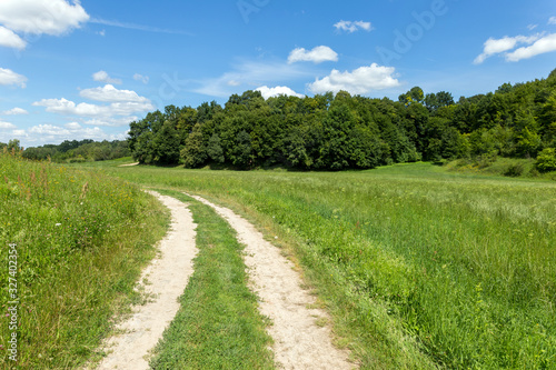 Country road through a meadow and forest.
