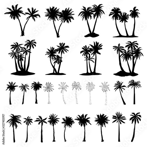 Palm trees icons set