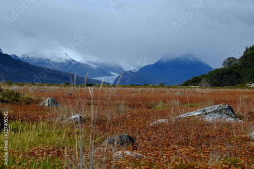 Fora, plants and landscape in Ainsworth Bay in Patagonia in the chilean part. photo