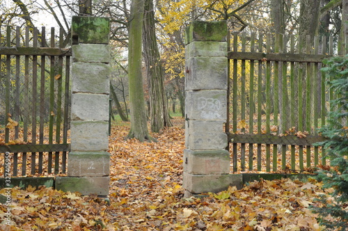 fall