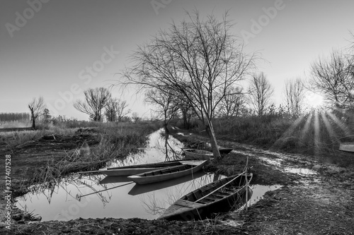Beautiful black and white sunset on the typical wooden boats of the wetland called Padule di Fucecchio, Porto delle Morette, Tuscany, Italy © Marco Taliani