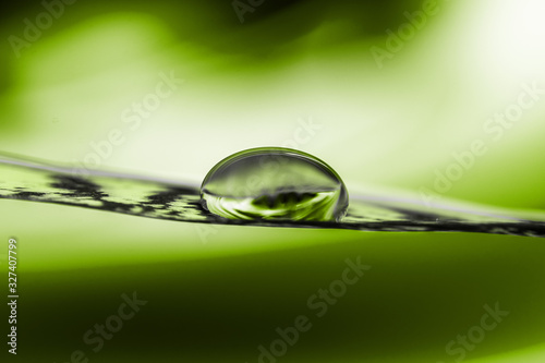 Water drop on a feather close-up on a green background - Green concept, ecology, healthy life, bio trend - Focus on the drop, blurred background