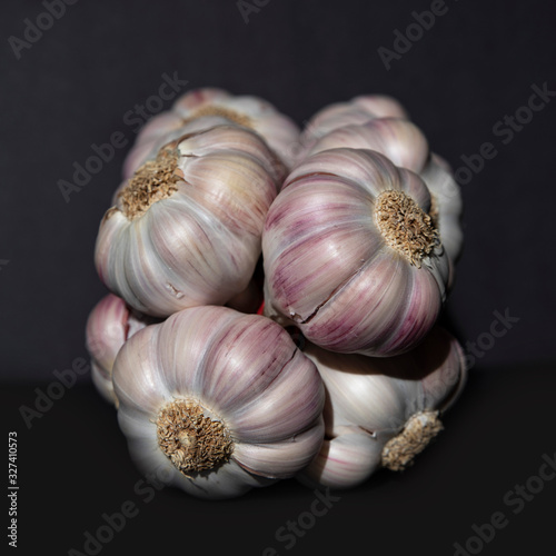 White and purple garlic head on a black background