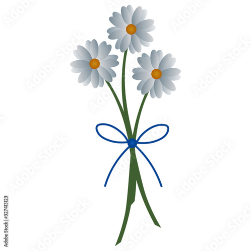 Camomiles. Delicate bouquet of white flowers. Colored vector illustration. Isolated background. Snow-white daisies. Flat style. Flowering plant. Bow decoration. Idea for web design.