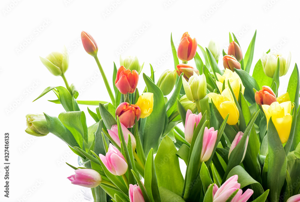 Obraz premium Spring Tulip Flowers over white. Tulips bunch. Pink tulips.