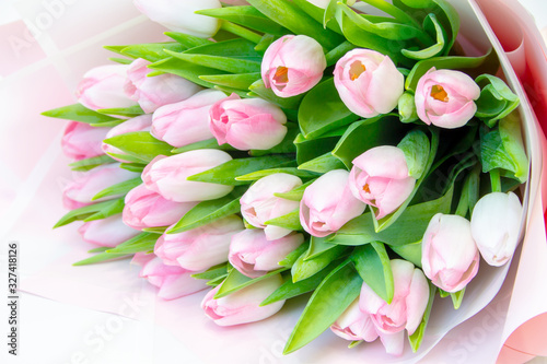 Fototapeta Naklejka Na Ścianę i Meble -  bouquet of pink tulips on a white background