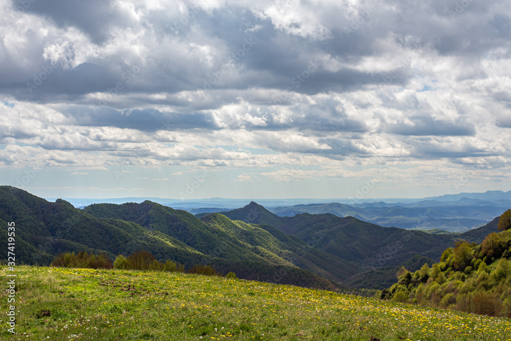 Fototapeta premium Heavy clouds hanging over the hill with flowers and mountains covered by the forest. Nature landscape. Ridges of the mountains at the background