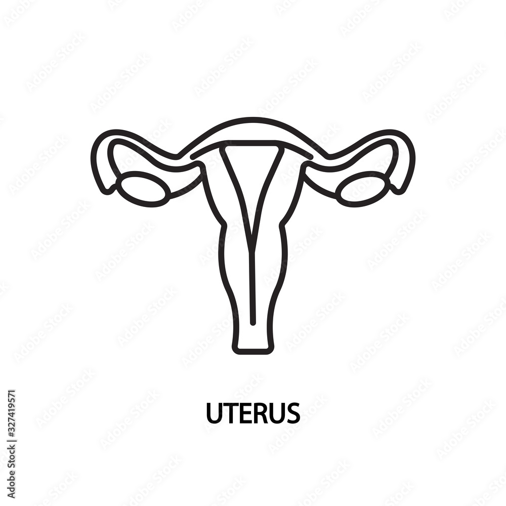 Uterus line flat icon. Vector illustration female reproductive organ Uterus line flat icon. Vector illustration female reproductive organ
