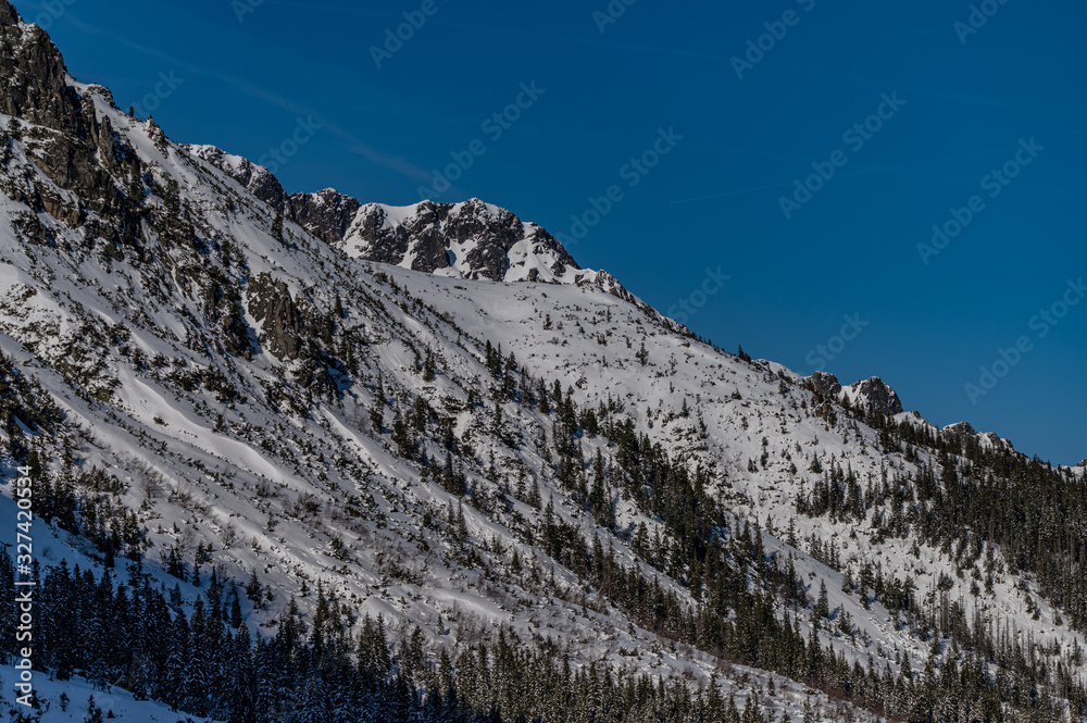 rocky mountains in winter