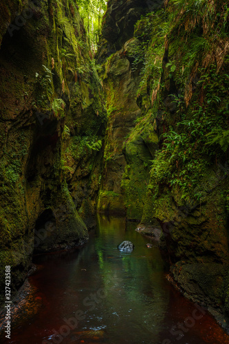 Inside of the Devil’s Pulpit gorge, with running water, Dumgoyne, Scotland, UK