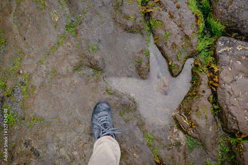 Fototapeta Naklejka Na Ścianę i Meble -  Human foot compared to a dinosaur footprint on the An Corran Beach, near Skye, Portree, Scotland UK