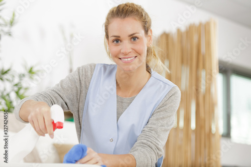 happy cleaner girl with chestnut hair working photo