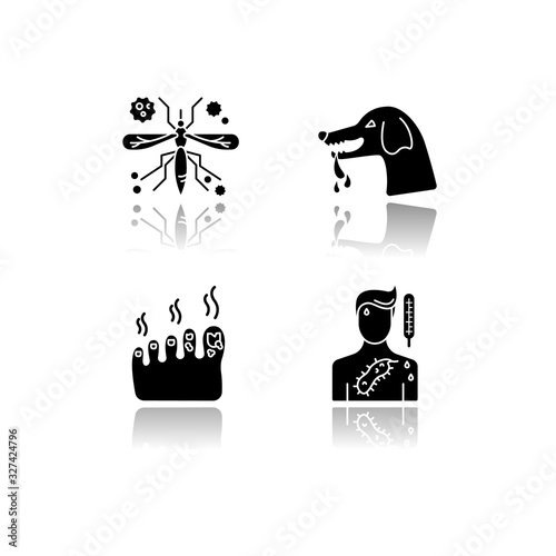 Viral and infectious diseases drop shadow black glyph icons set. Malaria, rabies, fungal infection and ebola virus. Dangerous illnesses isolated vector illustrations on white space