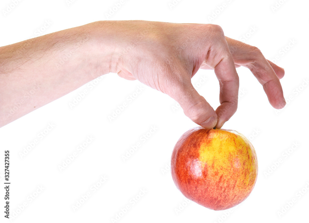 red apple in hand isolated on white background red apple in hand isolated on white background