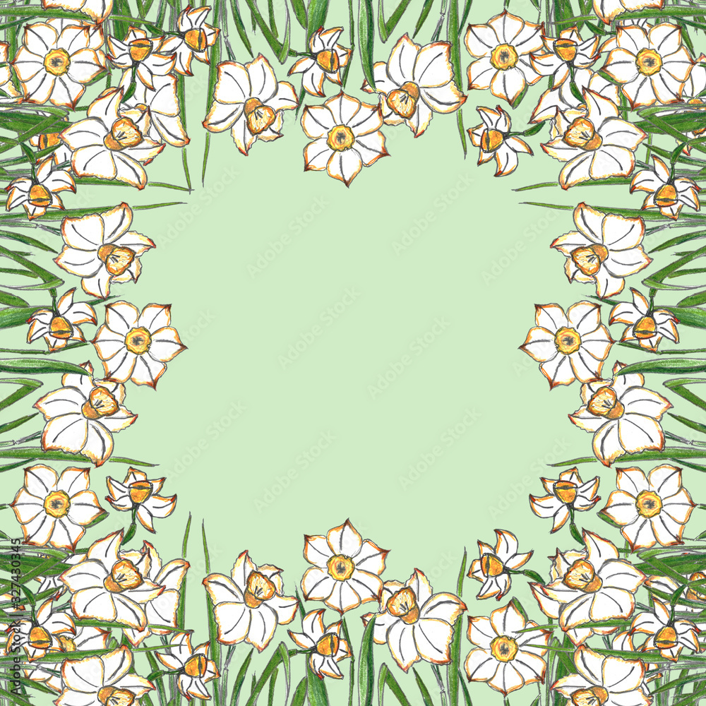 Obraz premium frame of daffodil flowers. Color illustration, handmade. Botanical hand-drawn illustration.Design for packaging, weddings, fabrics, textiles, Wallpaper, website, postcards.