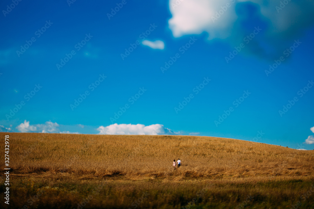A guy and a girl with no recognizable faces hold hands in a yellow field of rye under a blue sky. Summer afternoon in nature