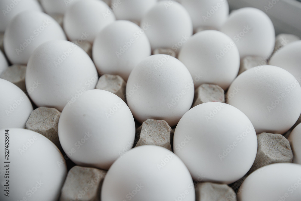 Tray of white fresh eggs close-up on a cardboard form. Agricultural industry Tray of white fresh eggs close-up on a cardboard form. Agricultural industry
