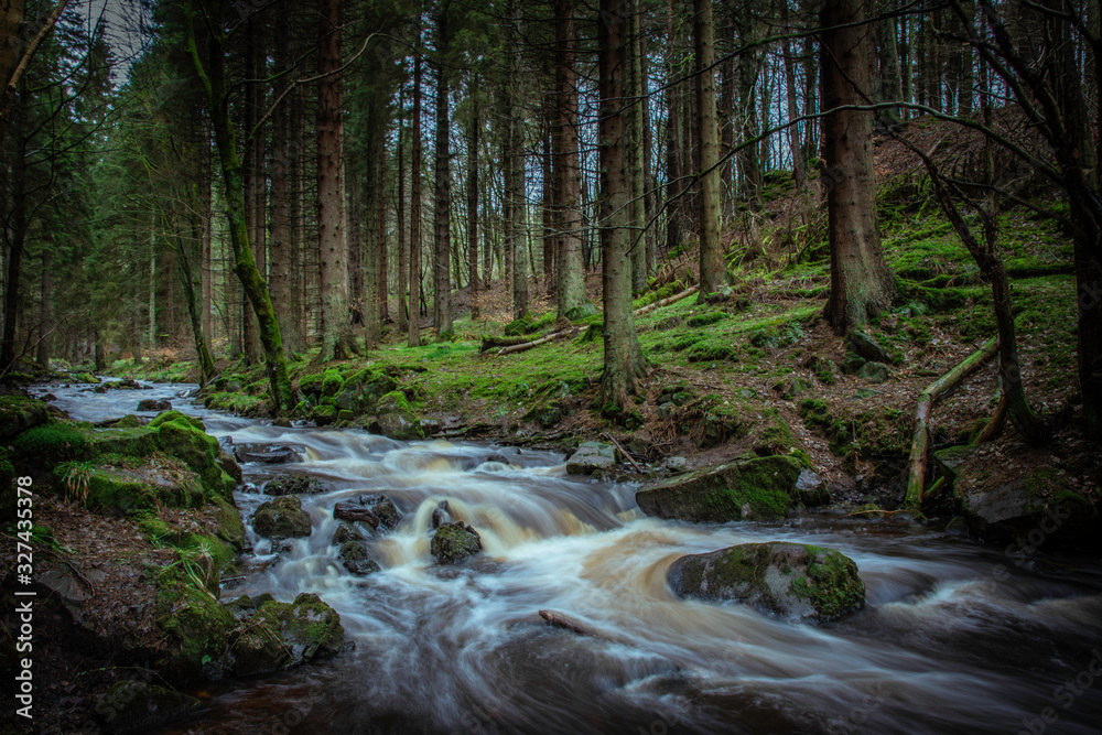 blairadam woods, kelty, fife, scotland.