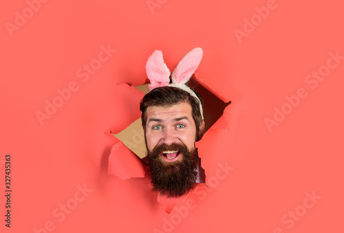 Through paper. Easter Day. Happy bearded man through paper. Easter. Spring holiday. Easter bunny costume. Spring. Rabbit. Bunny mask. Bearded man looking through paper. Preparing for Easter. Egg hunt.