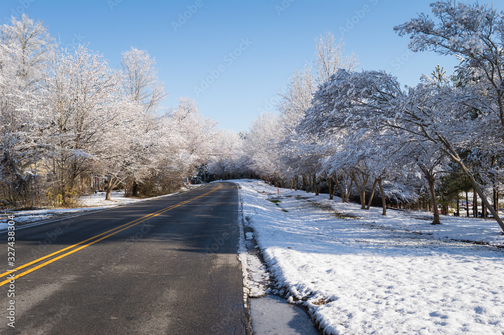 Road surrounded by trees covered with snow Road surrounded by trees covered with snow