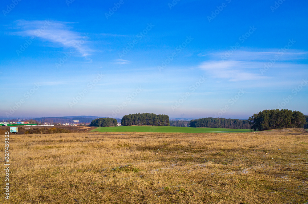 Spring landscape on the outskirts of the city. View of the green field and buildings on the horizon