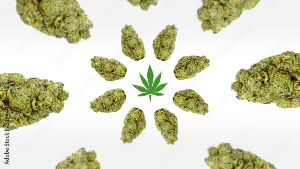 Hypnotizing cannabis 360 loopable background