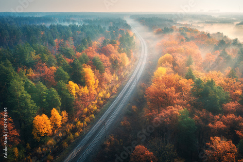 Aerial view of beautiful railroad in autumn forest in foggy sunrise. Industrial landscape with railway station, colorful trees with orange leaves, fog and sun rays. Top view of rural railway platform