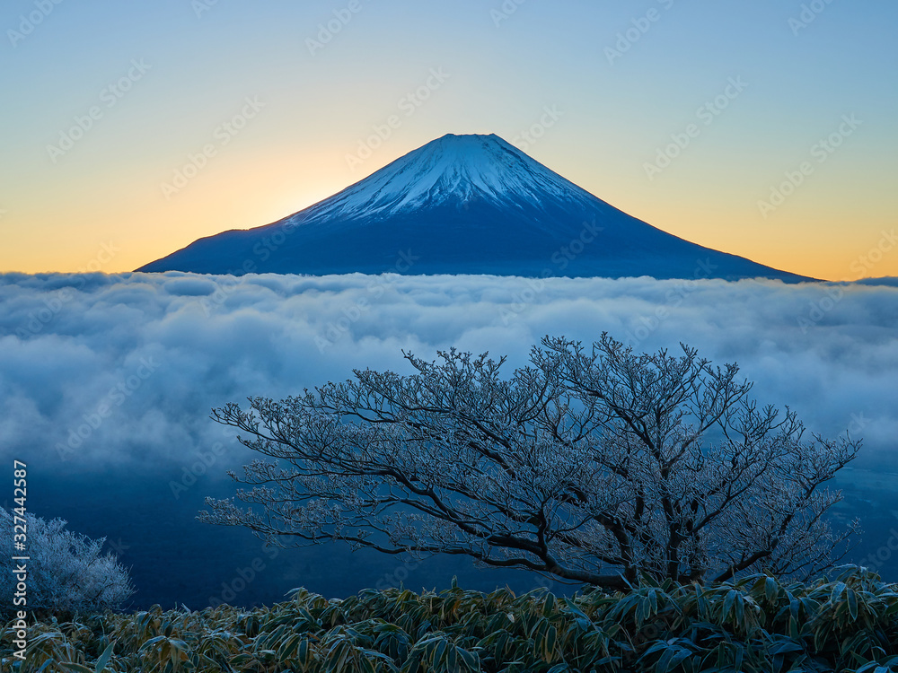 日本の山梨県の朝の竜ヶ岳から雲海と樹氷と富士山の眺望