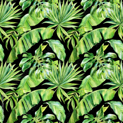 Watercolor seamless pattern  tropical leaves on an isolated background  watercolor painting  botanical illustration  floral design  banana palms  monstera.