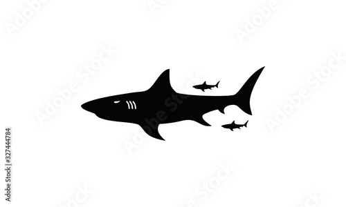 vector shark