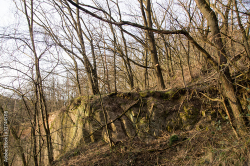 klippe wlad bäume abgrund felsen photo